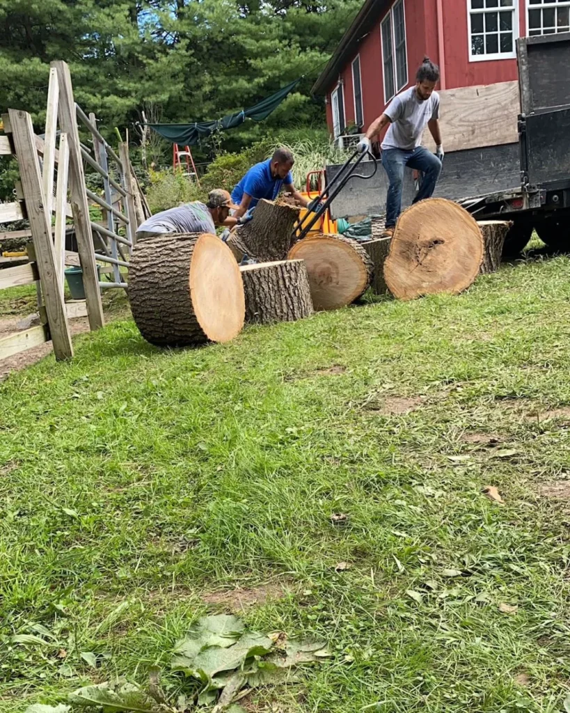 Tree-Landscaping-Fairfield-County