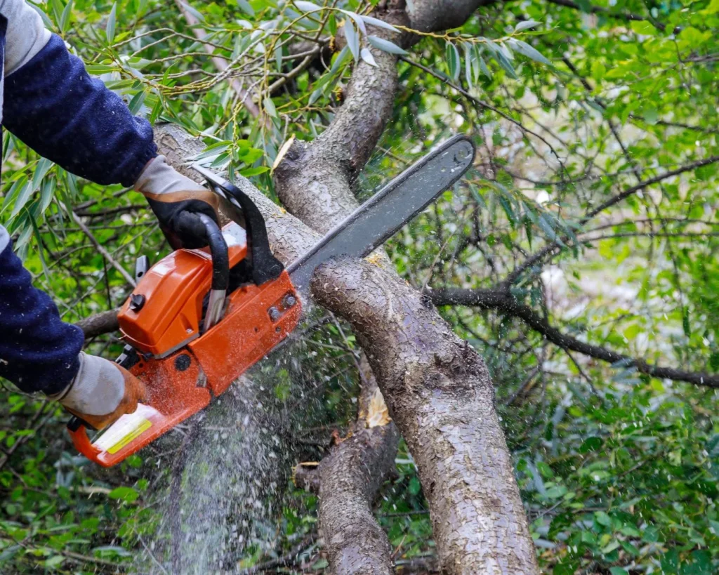Tree-Landscaping-Fairfield-County