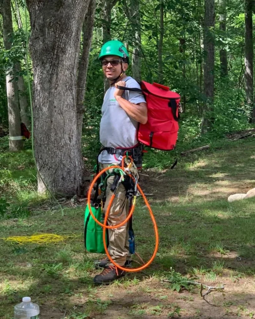 Tree-Landscaping-Fairfield-County
