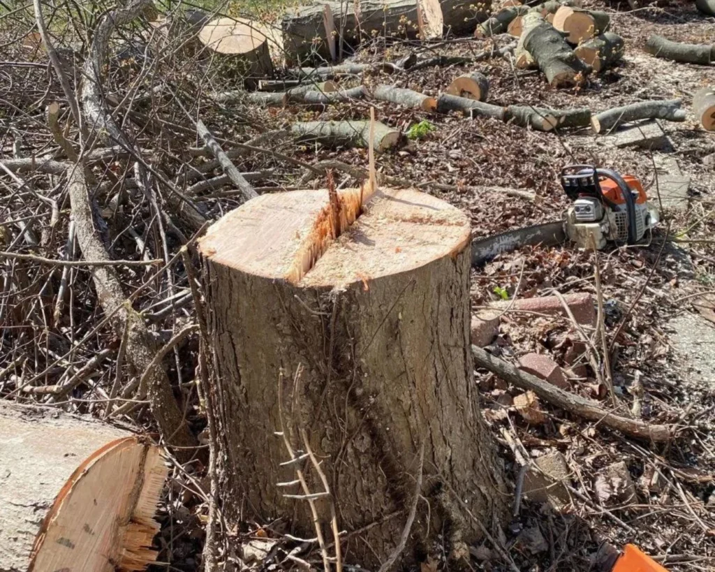 Tree-Landscaping-Fairfield-County