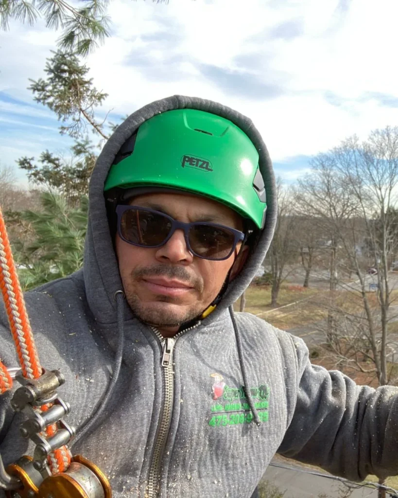 Tree-Landscaping-Fairfield-County