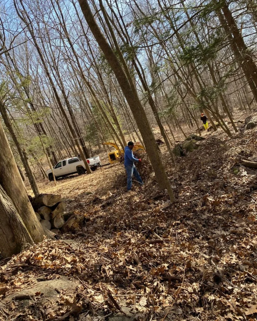 Tree-Landscaping-Fairfield-County