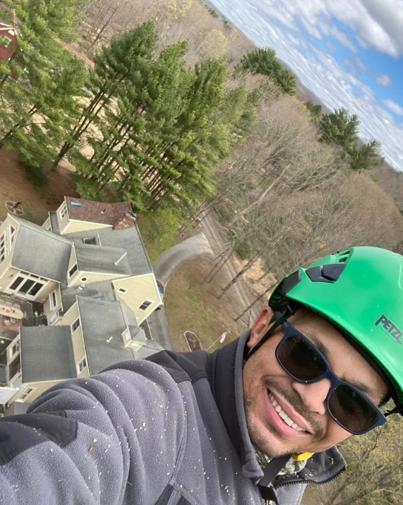 Tree-Landscaping-Fairfield-County